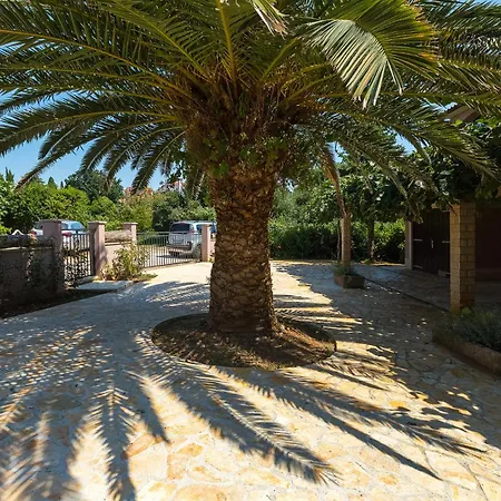 Villa Olive Garden *