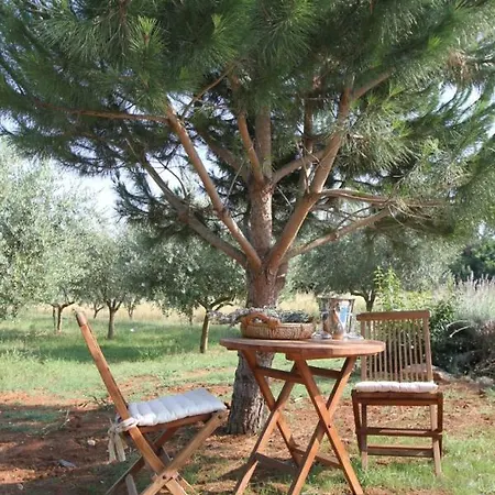 Olive Garden Villa *